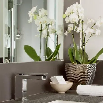 Hotel Mancino 12 Rome